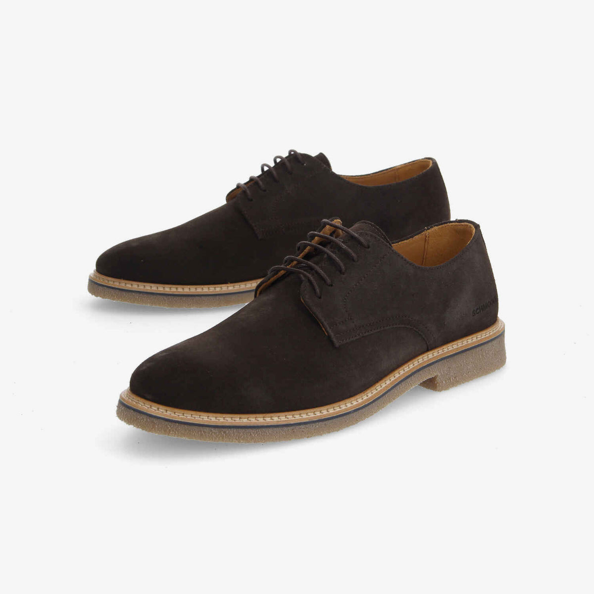 Dublin Derby - Dark Brown